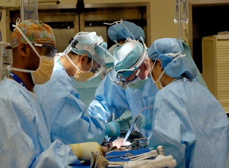 The Protein of Breast Cancer Brca2 Was Finally Purified