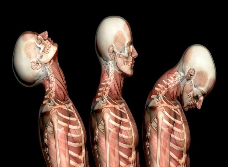 The Reasons and Thing to Do Carrying Out Whiplash Damage